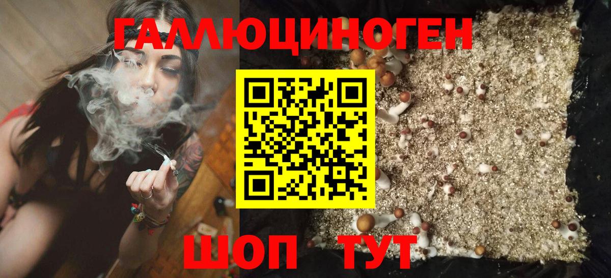 Кимры  Псилоцибиновые грибы мухоморы  Псилоцибиновые грибы Magic Shrooms  что такое   Вход с VPN 