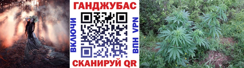 как найти   Кимры  Бошки Шишки Bruce Banner 